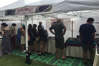 IMG 0588