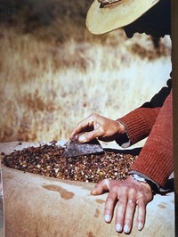 IMG 0978